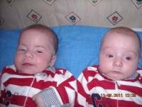 mihnea andrei si matei stefan